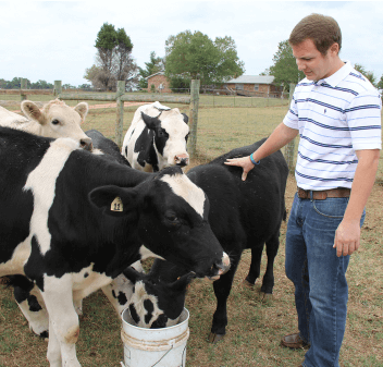 Ruminant Nutritionist | Career Profile | AgCareers.com